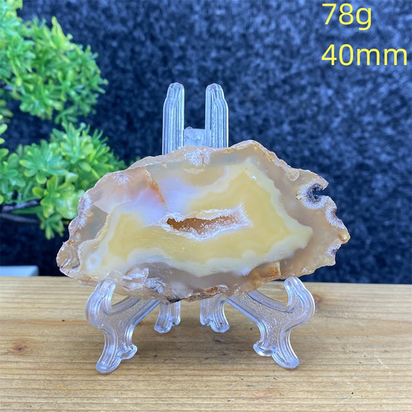 White Agate Geode Slices-ToShay.org