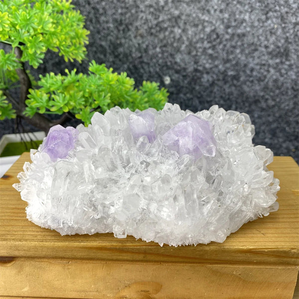 White Crystal Quartz-ToShay.org