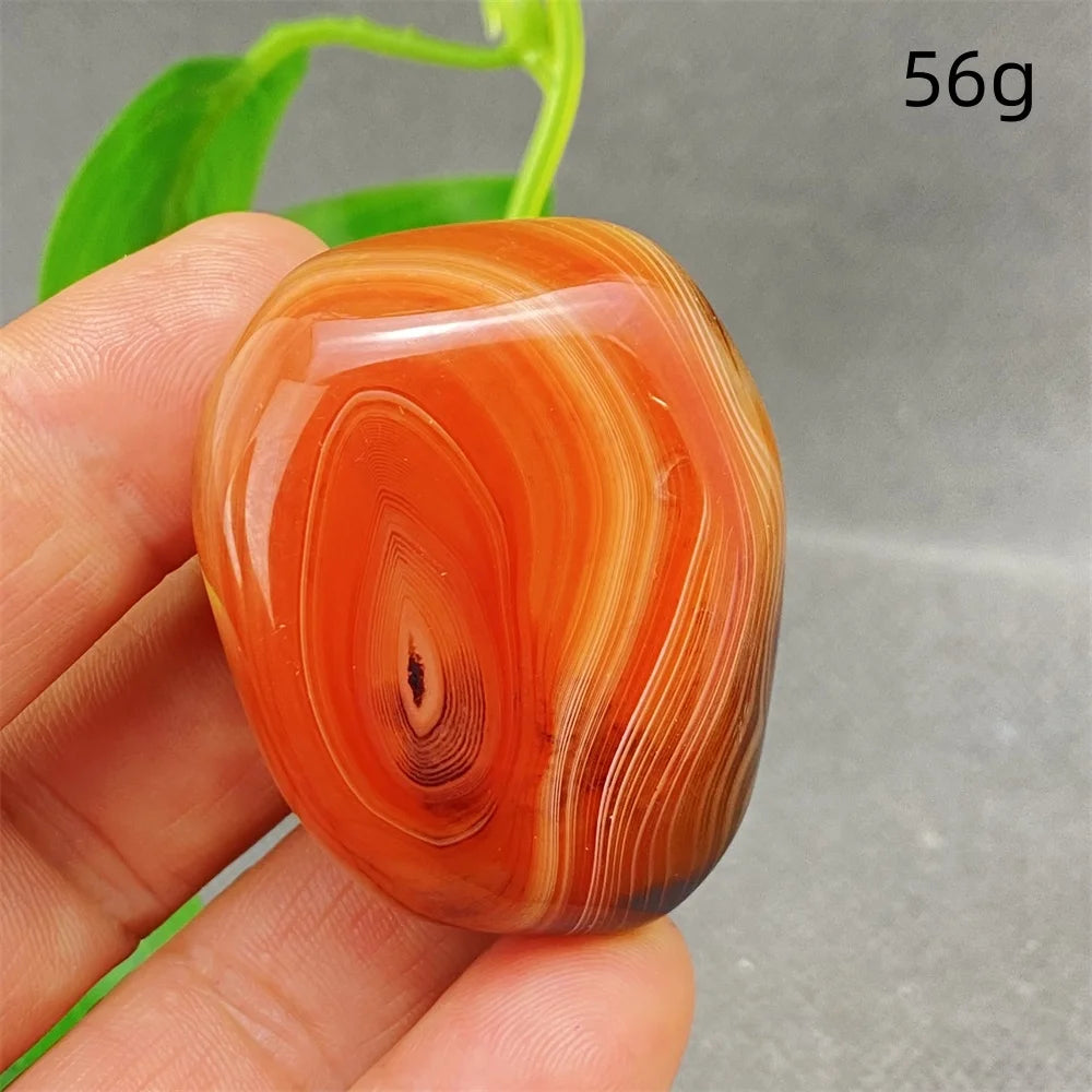 Orange Silk Lace Agate-ToShay.org