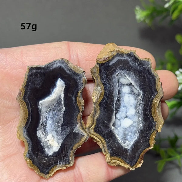 Mixed Agate Crystal Cave Egg-ToShay.org