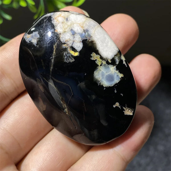 Black Flower Agate-ToShay.org
