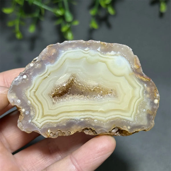 Yellow Agate Slice-ToShay.org