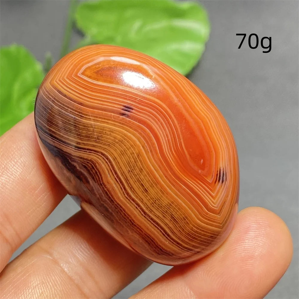Orange Silk Lace Agate-ToShay.org