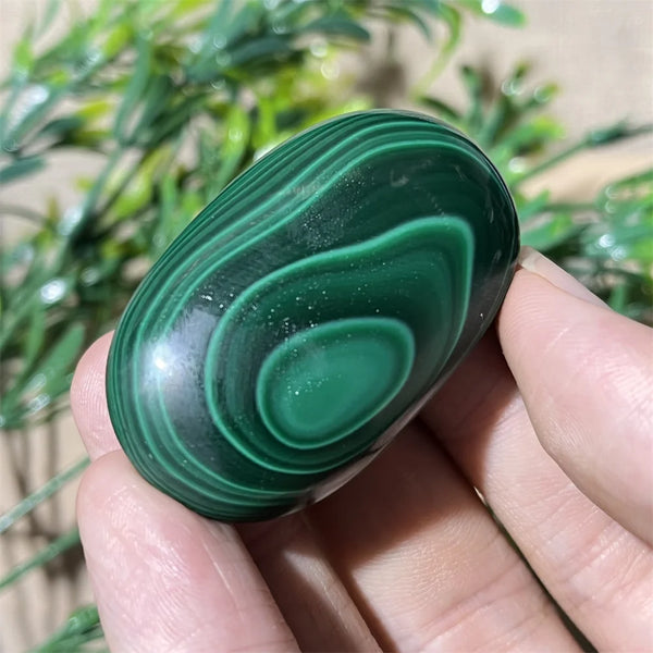 Green Malachite Palm Stone-ToShay.org