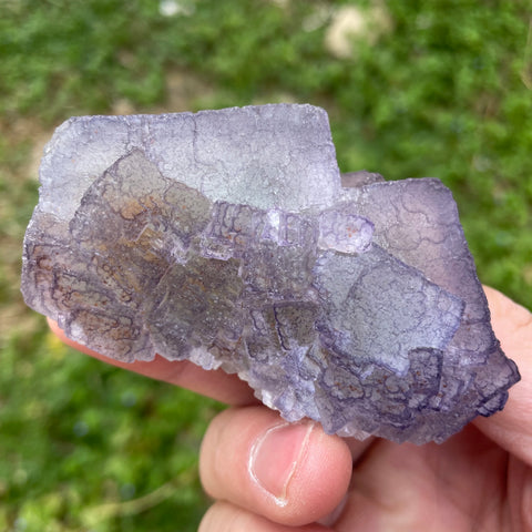 Purple Edge Fluorite-ToShay.org