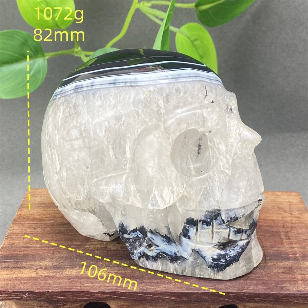 Black Agate Skull-ToShay.org