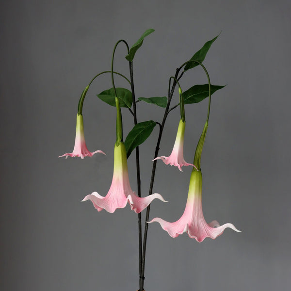 Lily Hanging Flowers-ToShay.org