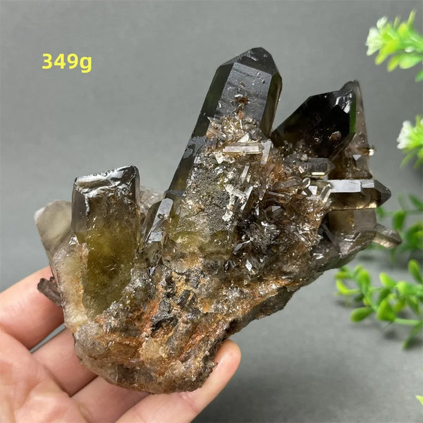 Black Quartz Crystal-ToShay.org