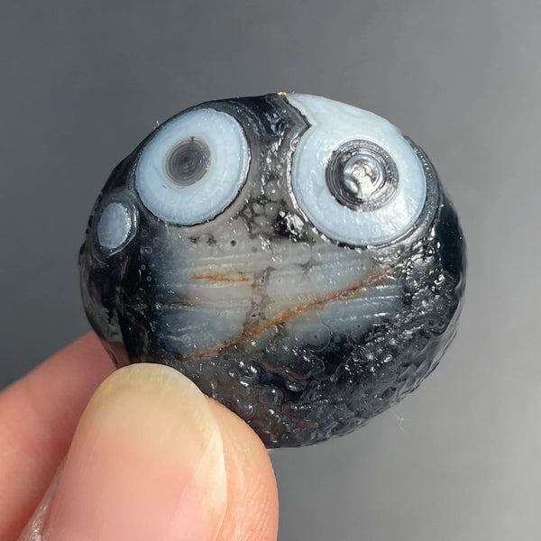 Mixed Gobi Agate Eye Rock-ToShay.org
