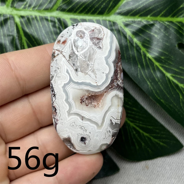 Red Crazy Agate Palm Stone-ToShay.org