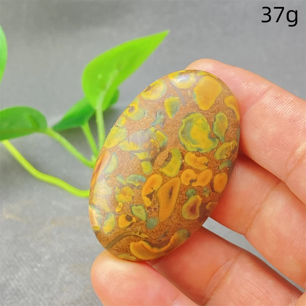 Green Rainforest Palm Stone-ToShay.org