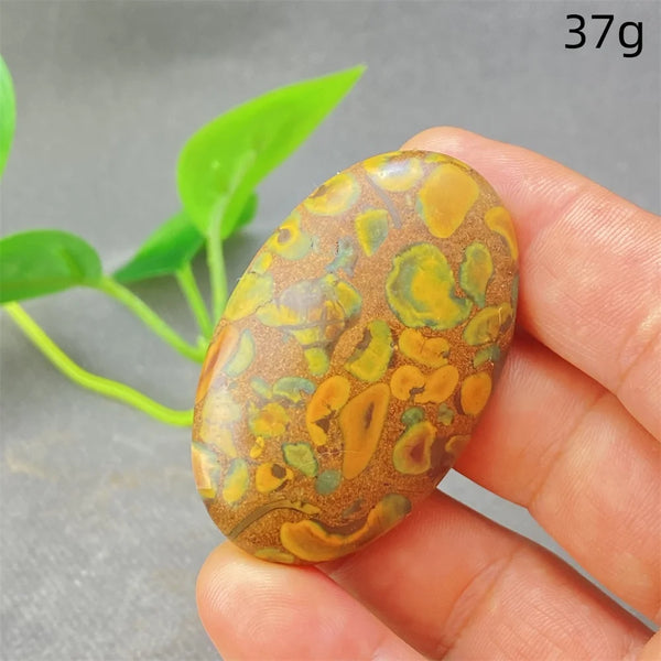 Green Rainforest Palm Stone-ToShay.org