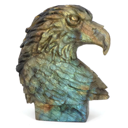 Blue Labradorite Eagle Head-ToShay.org