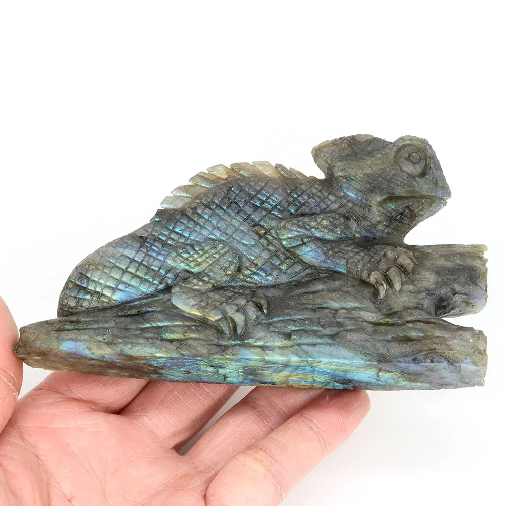 Blue Labradorite Chameleon-ToShay.org