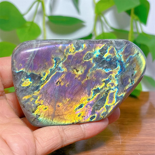 Purple Labradorite Crystal-ToShay.org