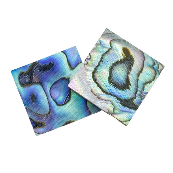 Blue Abalone Shell Slice-ToShay.org