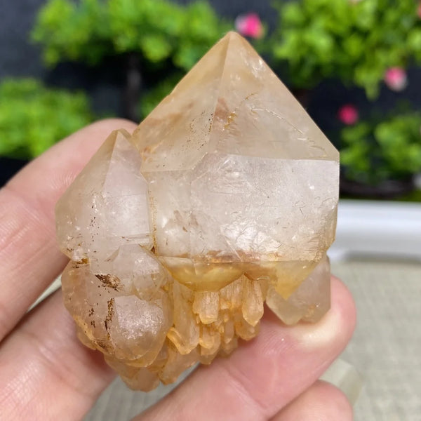 White Quartz Crystal Cluster-ToShay.org