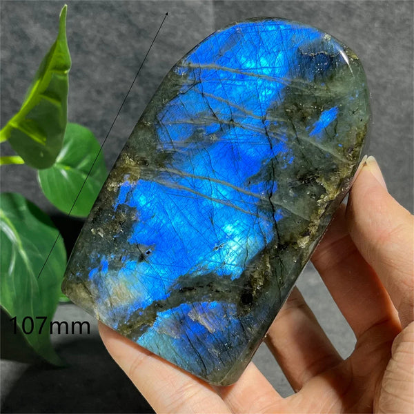 Blue Labradorite Crystal-ToShay.org