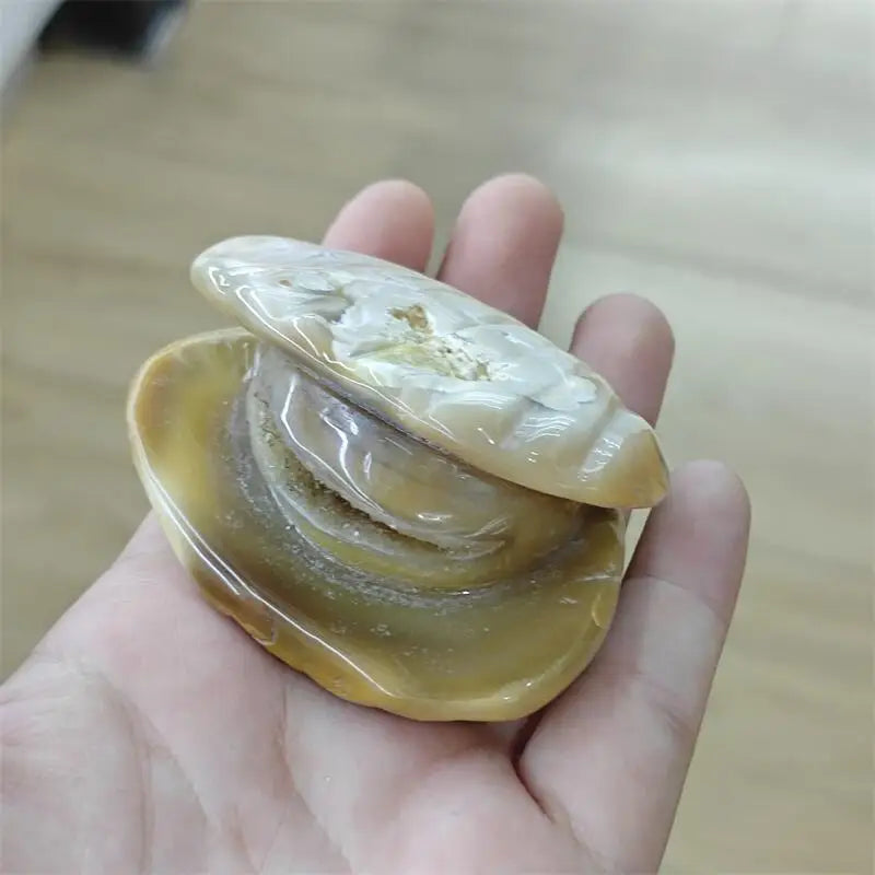Natural Carnelian Shell Pearl Carving Cute Animal Craft Home Office Decoration Ornament Holiday Gift 1pcs-ToShay.org