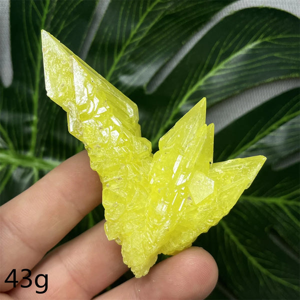 Yellow Sulfur Clusters-ToShay.org