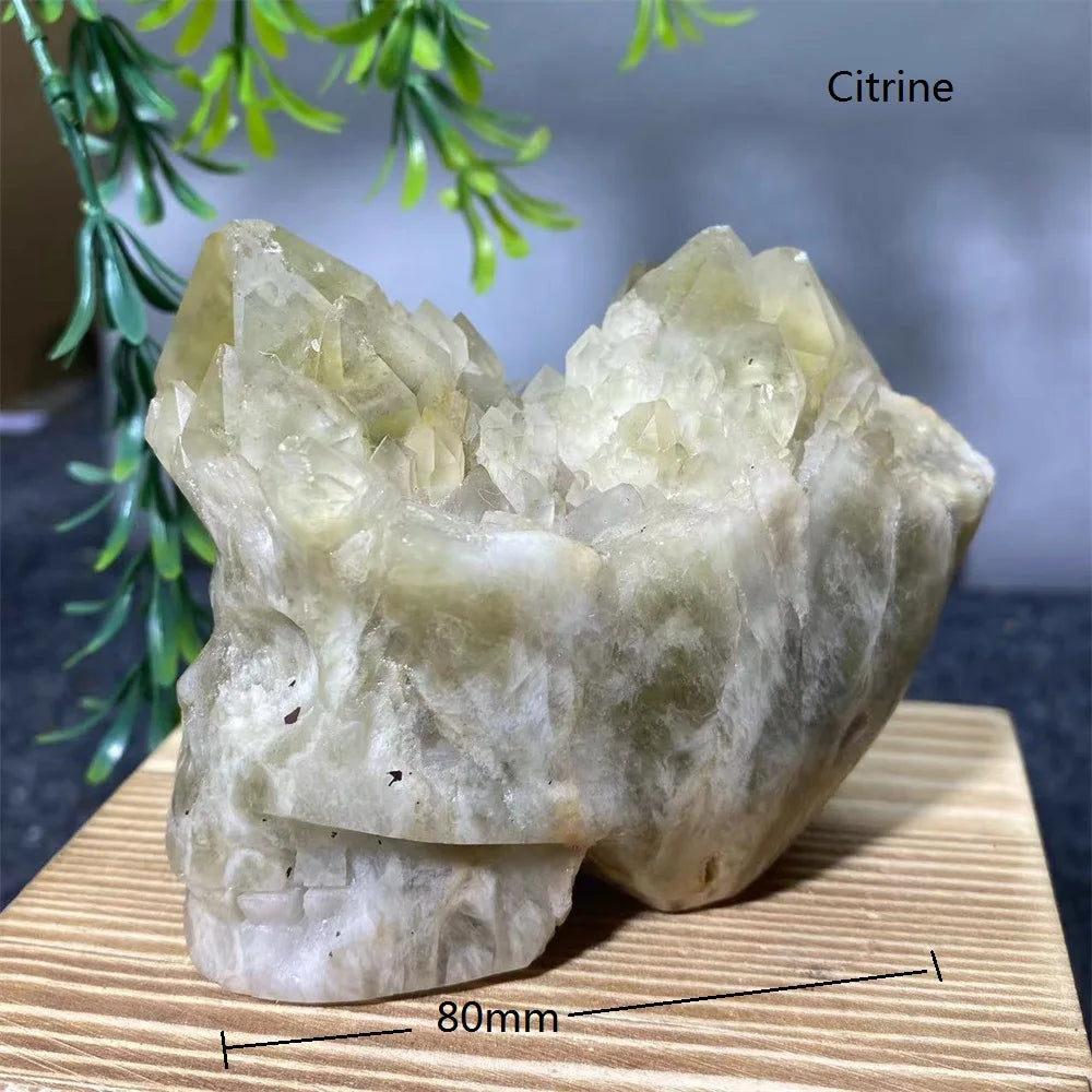 Mixed Crystal Skulls-ToShay.org