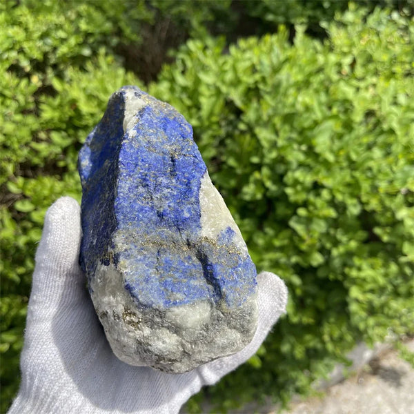 Blue Lapis Lazuli Raw Stone-ToShay.org