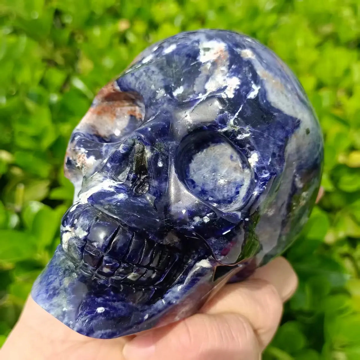 Blue Sodalite Skull-ToShay.org