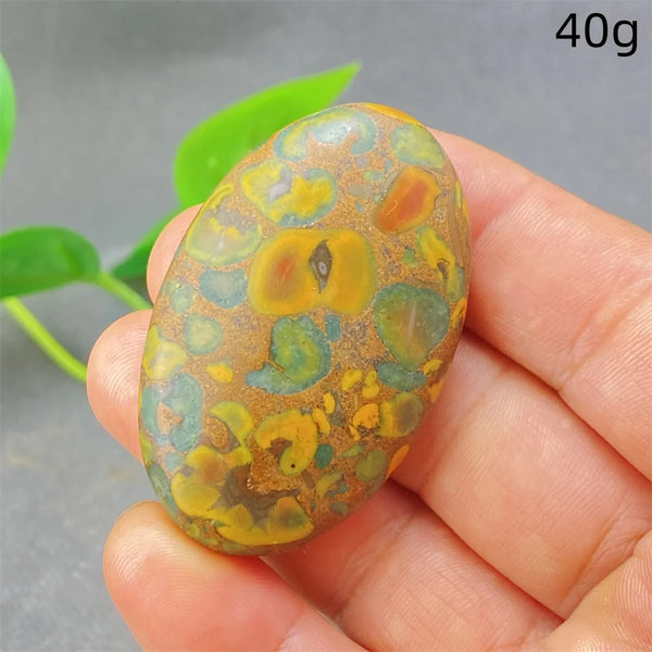 Green Rainforest Palm Stone-ToShay.org