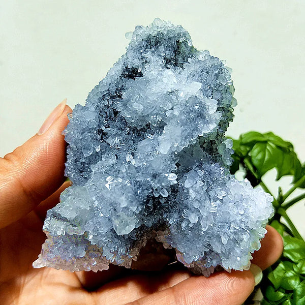 Purple Chrysanthemum Fluorite Crystal-ToShay.org