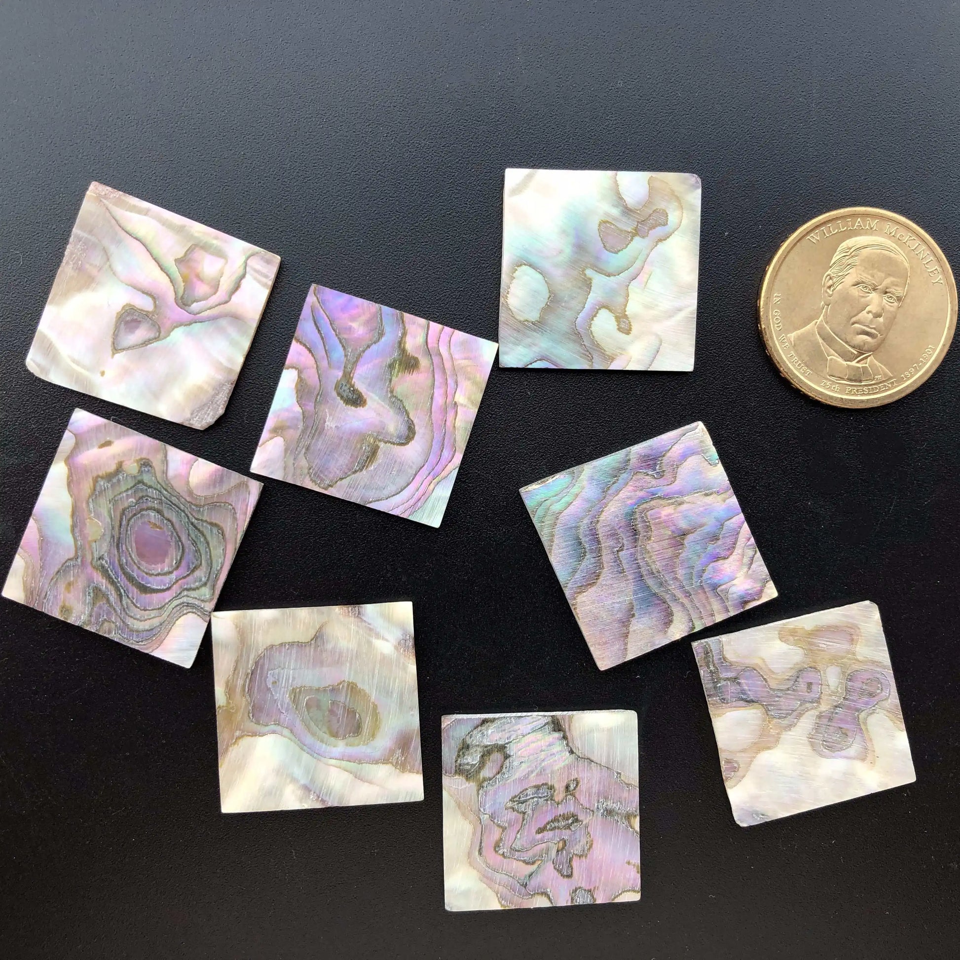 Blue Abalone Square Slice-ToShay.org