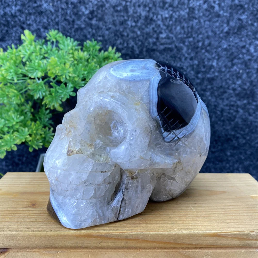 Black Agate Skull-ToShay.org