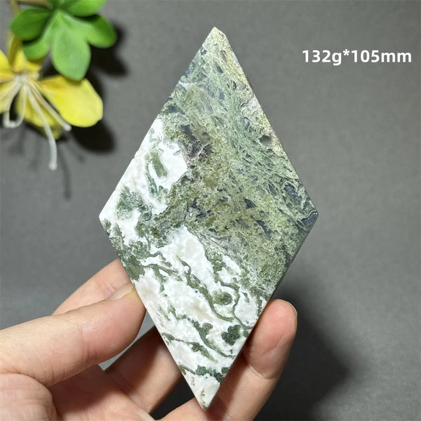 Green Aquatic Plant Agate-ToShay.org