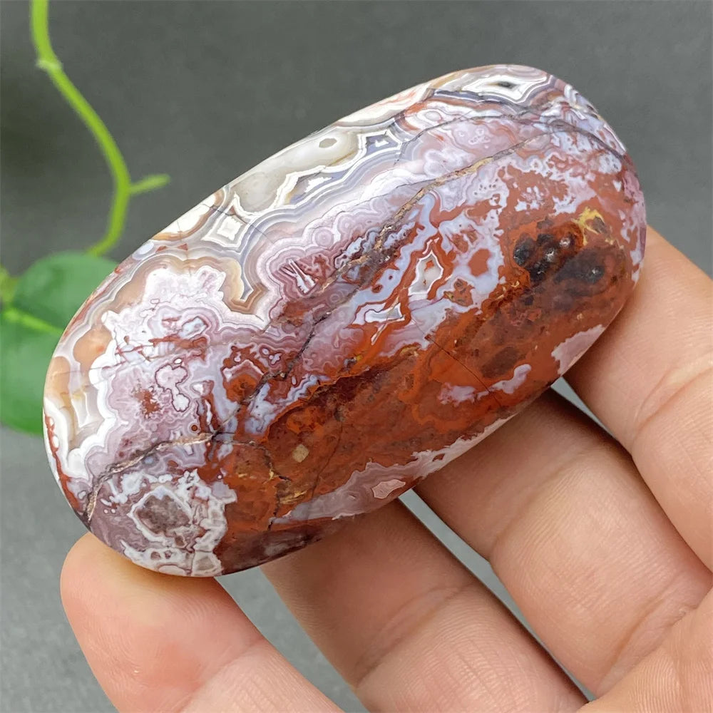 Red Lace Crazy Agate-ToShay.org
