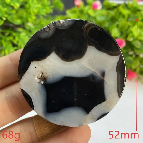 Black Agate Slice-ToShay.org