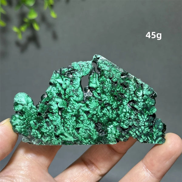 Green Malachite Slice-ToShay.org