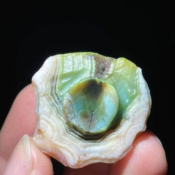 Green Gobi Agate-ToShay.org