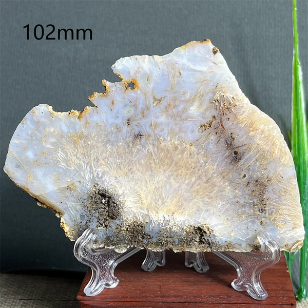 Yellow Hair Agate Slab-ToShay.org