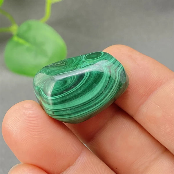 Green Malachite Tumbled Stone-ToShay.org
