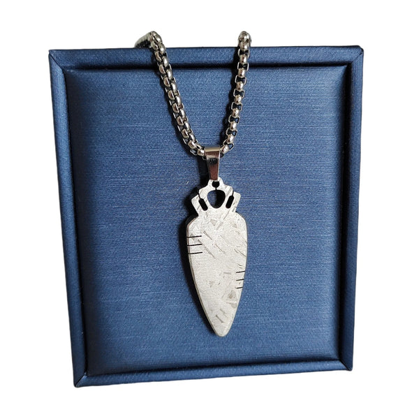 Iron Meteorite Pendant-ToShay.org