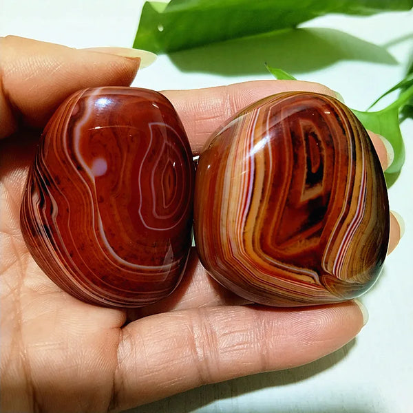 Red Lace Sardonyx Palm Stones-ToShay.org