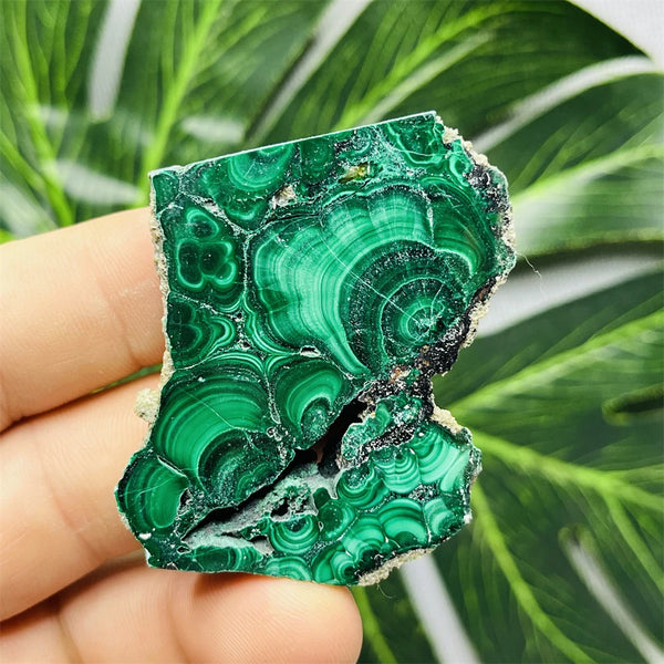 Green Eyes Malachite-ToShay.org