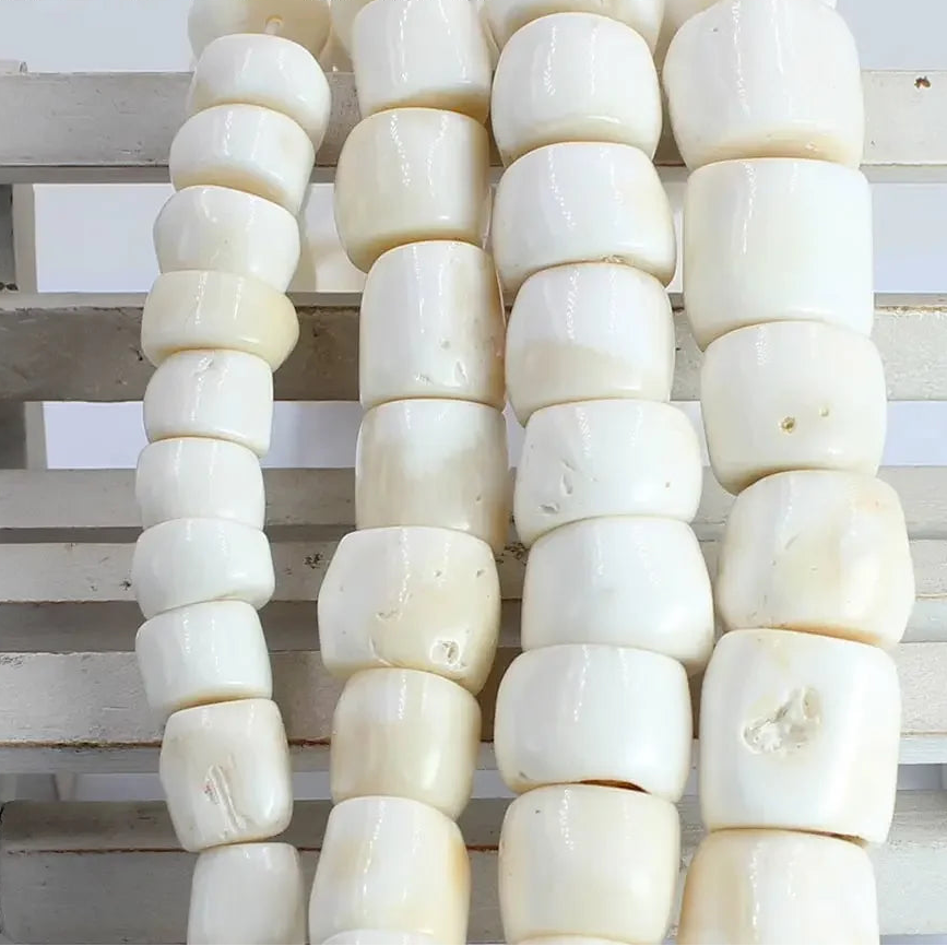White Coral Rondelle Beads-ToShay.org