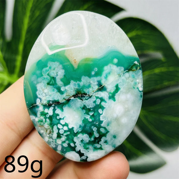 Green Flower Agate Palm Stone-ToShay.org