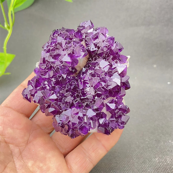 Purple Amethyst Crystal-ToShay.org