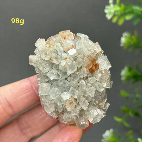 Orange Aragonite Crystal Cluster-ToShay.org
