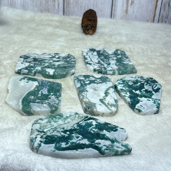 Green Moss Agate Slice-ToShay.org