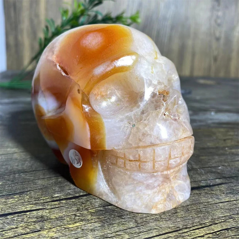 Red Agate Carnelian Skull-ToShay.org