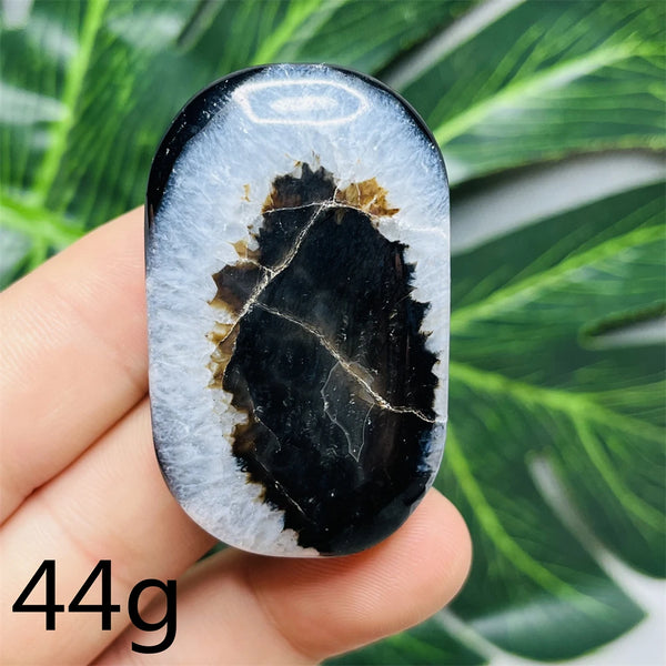 Black White Agate Palm Stone-ToShay.org