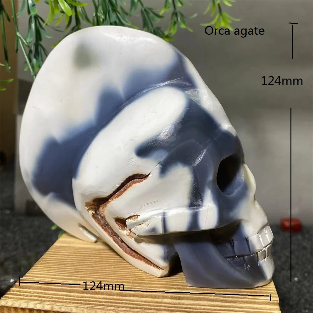 Mixed Crystal Skulls-ToShay.org
