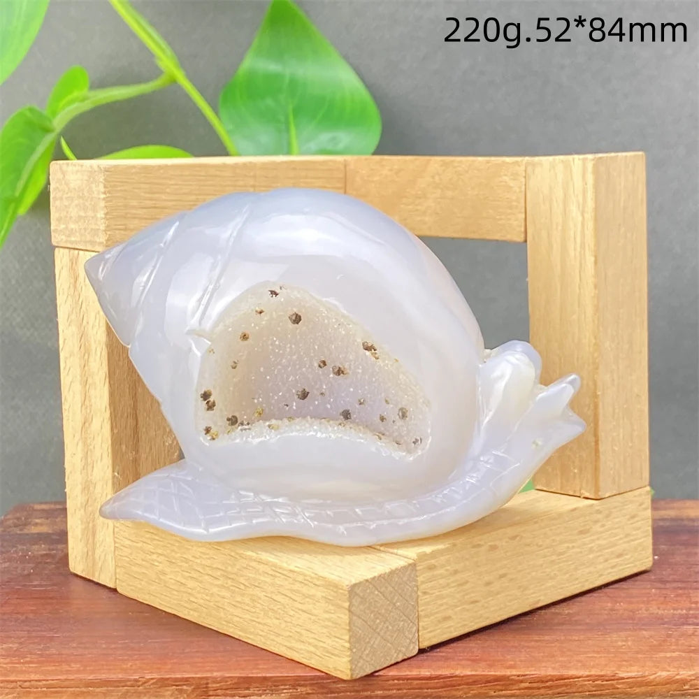 Grey Agate Geode Snail-ToShay.org
